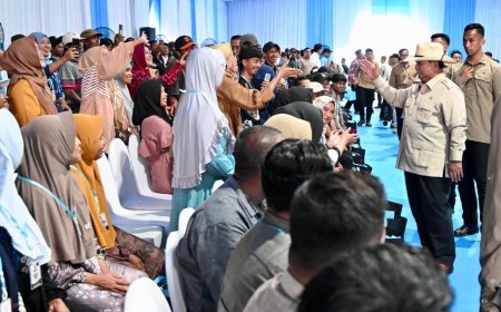 Petani Sambut Panen Raya Jagung dengan Optimisme Tinggi