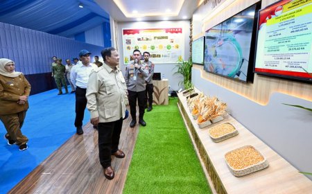 Cadangan Beras Melonjak, Optimisme Kemandirian Pangan Menguat